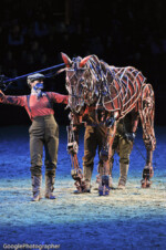 War Horse