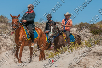 CS3_1162