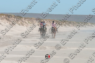 CS3_1254